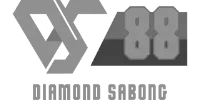 Pay4Fun logo